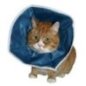 Buster Kedi Yakalığı Soft Buster Kedi Yakalığı Soft